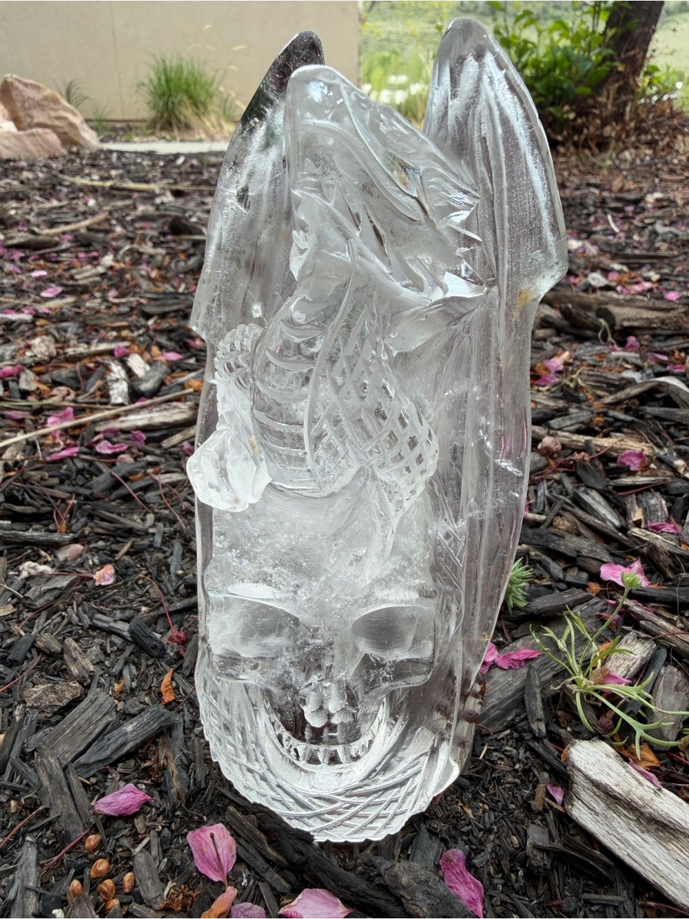RARE 2.4lb Clear Quartz Dragon on Skull Carving 7" Tall with Green Red Garden..
